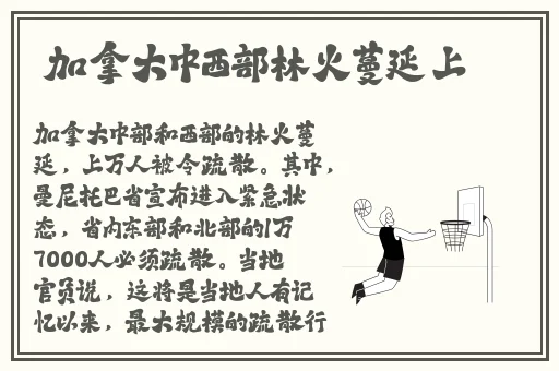 伊人久久精品无码AV一区